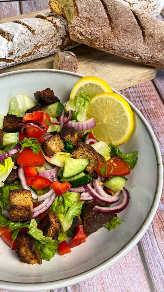 Brotsalat Rezept mit geröstetem low carb Brot, Tomaten, roten Zwiebeln, Paprika und Gurken auf einem Teller