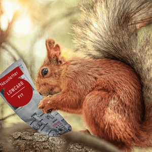 Eichhörnchen liest lowcarb-fit Newsletter