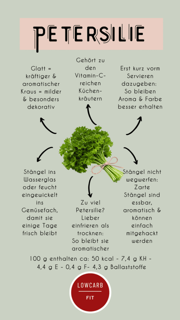 Infografik über Petersilie mit einem Bund Petersilie in der Mitte