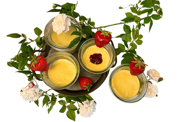 Selbst gemachter Vanille Proteinpudding ohne Zucker in Gläsern