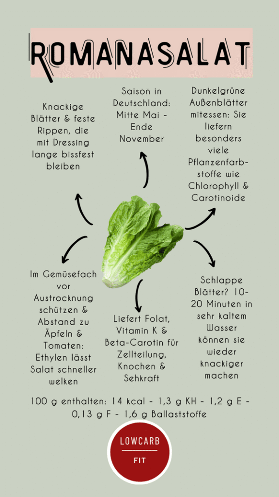Infografik über Romanasalat mit einem Kopf Römersalat in der Mitte