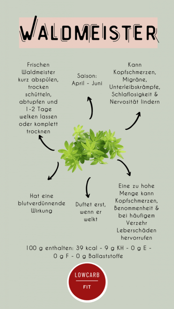 Waldmeister Infografik