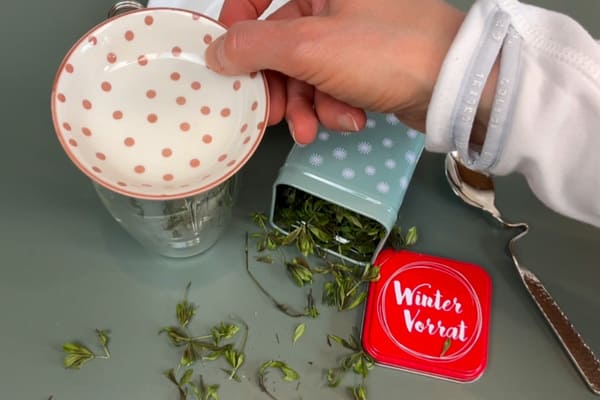 Eine Tasse Waldmeister Tee wird zum Ziehen lassen mit einem kleinen Teller abgedeckt